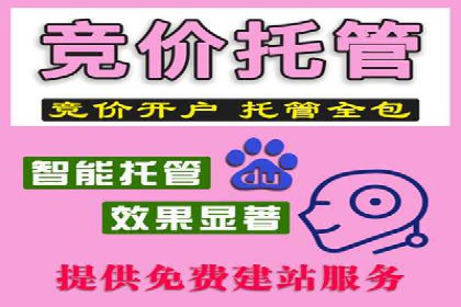 百度搜索优化：成功案例分析及策略解析